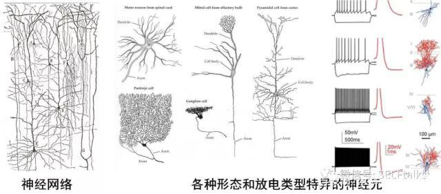 中國腦健康日關(guān)注“頭”等大事，中國腦科技的未來是什么？